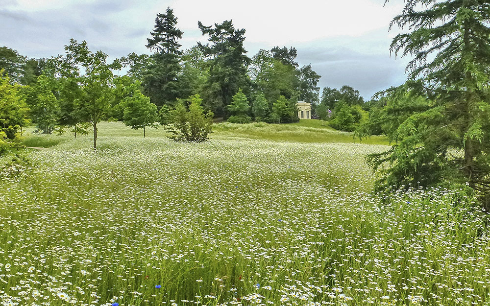 Landscape design at Harewood