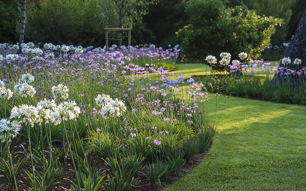 Landscape design at  Cote D'Azur