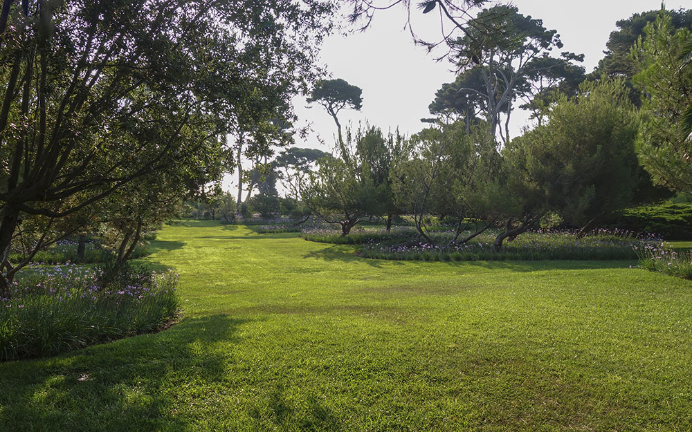 Landscape design at  Cote D'Azur