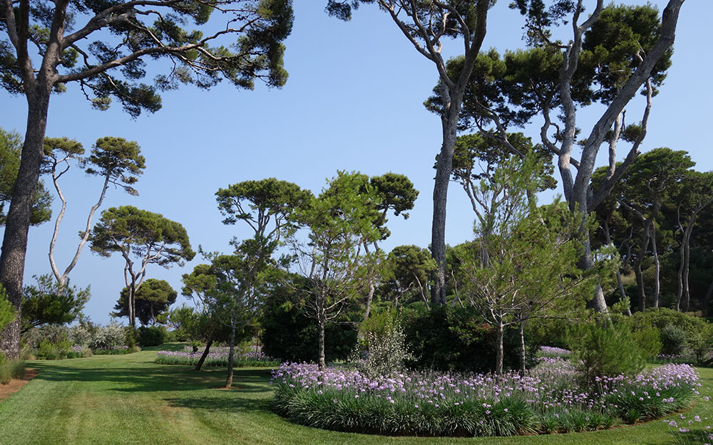 Landscape design at  Cote D'Azur