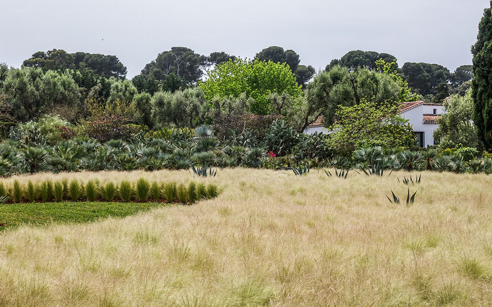 Landscape design at  Cote D'Azur