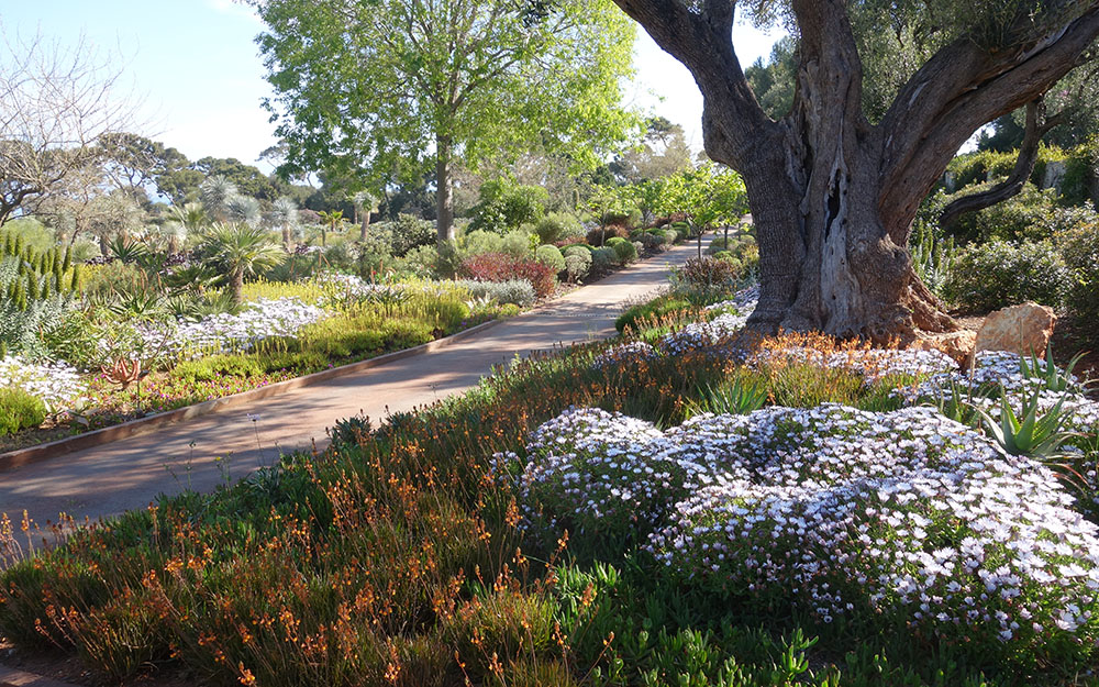 Landscape design at  Cote D'Azur