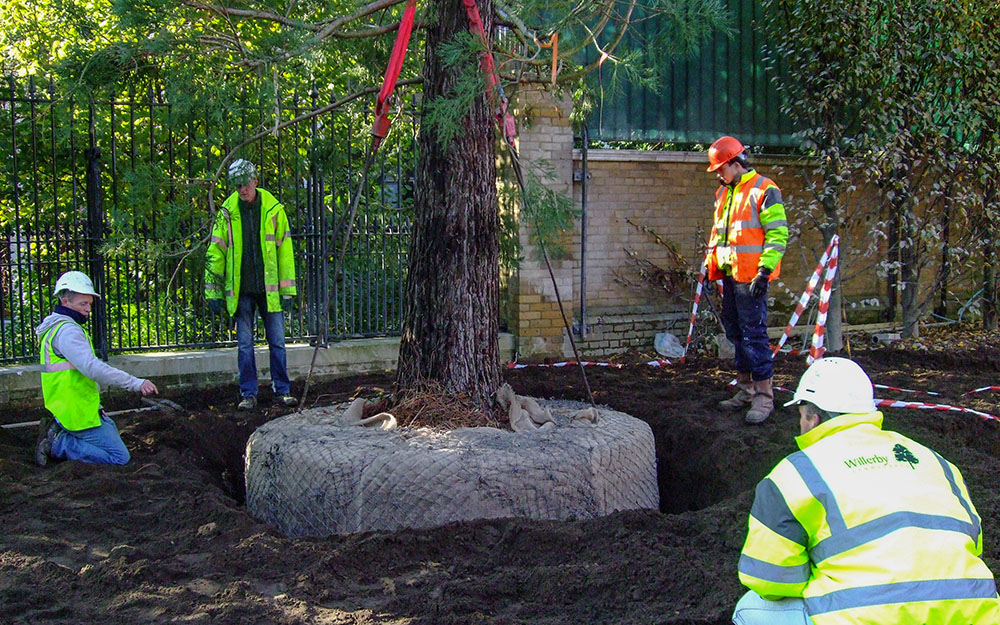 Landscape design at Hanover Lodge London
