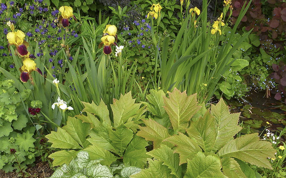 Garden design projects - landscape architects