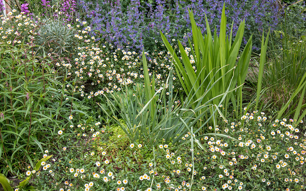 Garden design projects - landscape architects