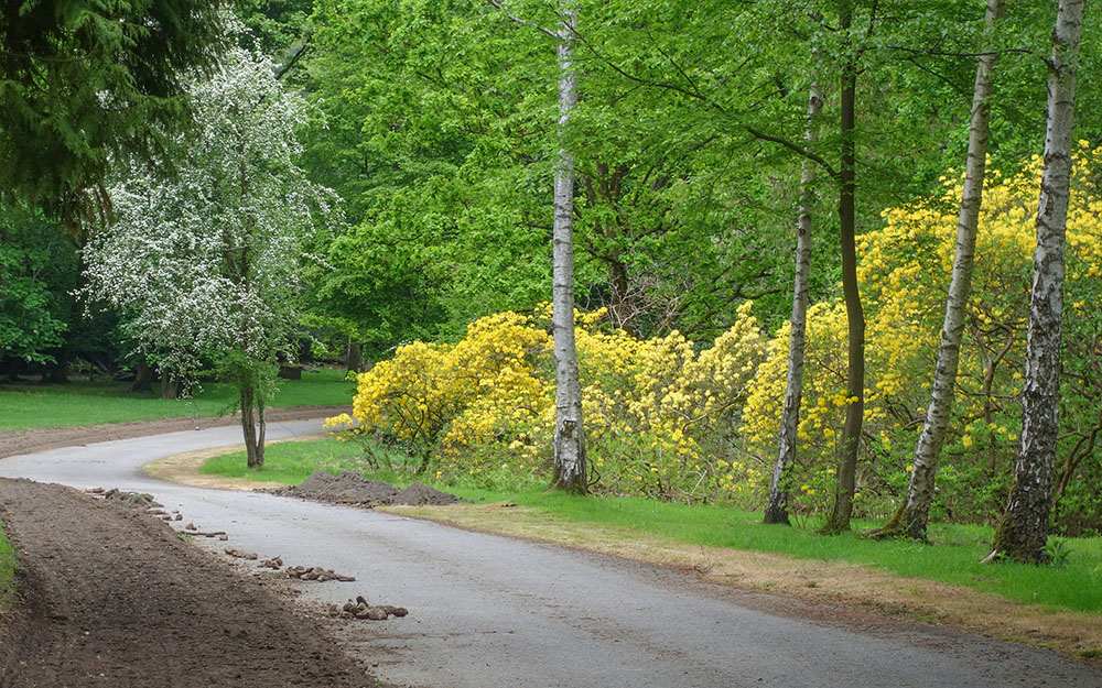 Landscape restoration - survey & plan, Dropmore Buckinghamshire