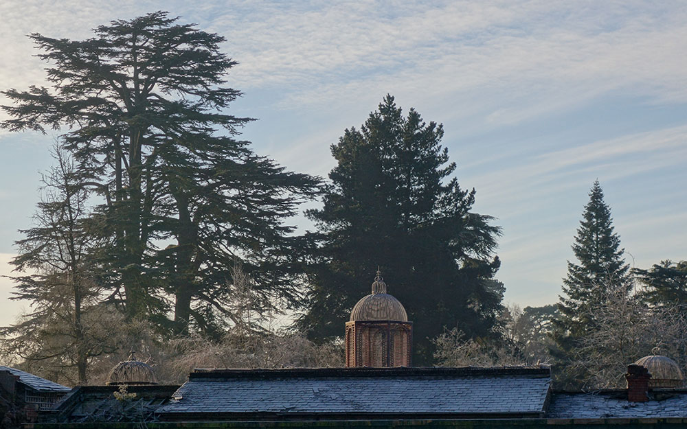 Landscape restoration - survey & plan, Dropmore Buckinghamshire