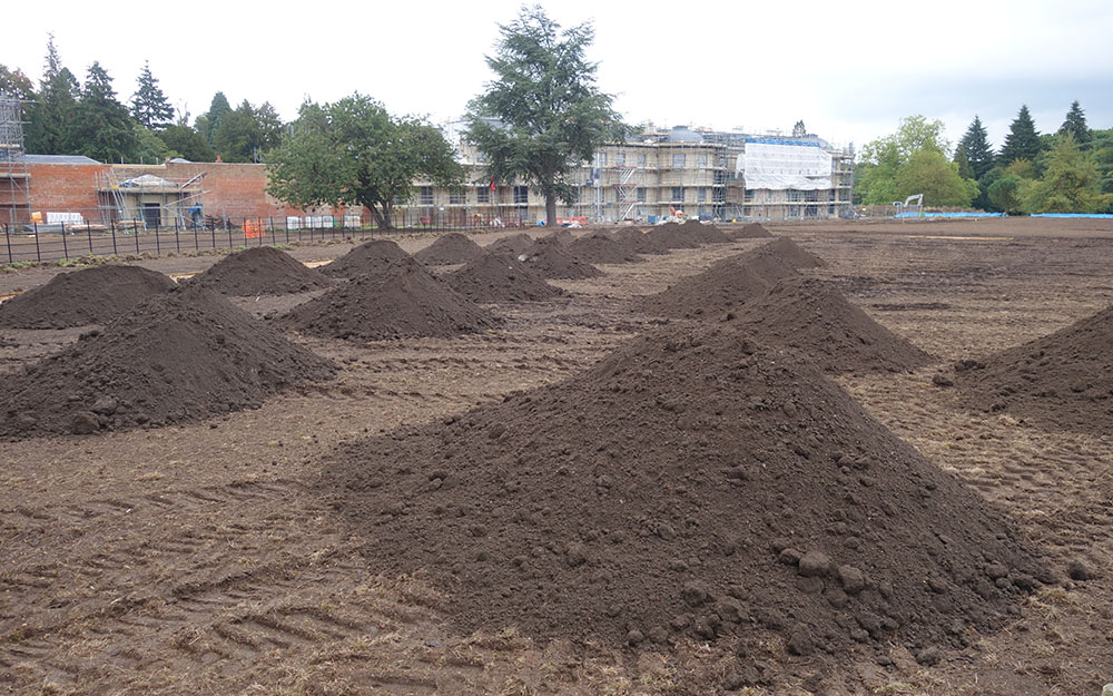 Landscape restoration - survey & plan, Dropmore Buckinghamshire