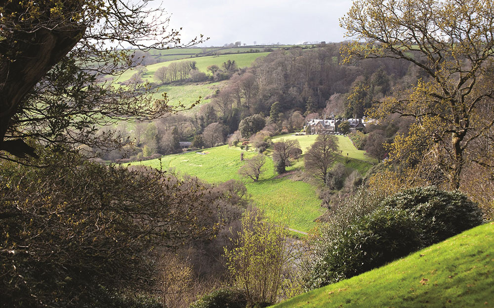 Restoration of Grade 1  registered site - survey & plan, Endsleigh Devon
