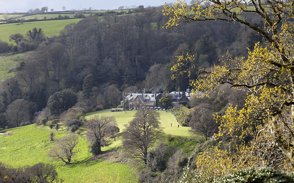 Restoration of Grade 1  registered site - survey & plan, Endsleigh Devon