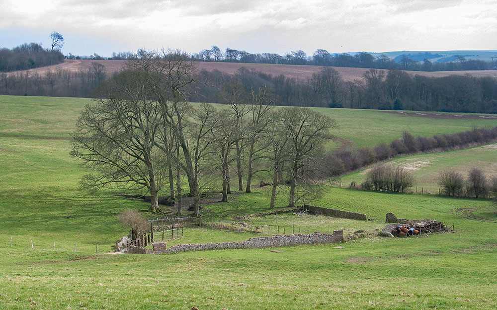 Restoration of Grade II  registered site - survey & plan, Stanmer Estate Brighton East Sussex