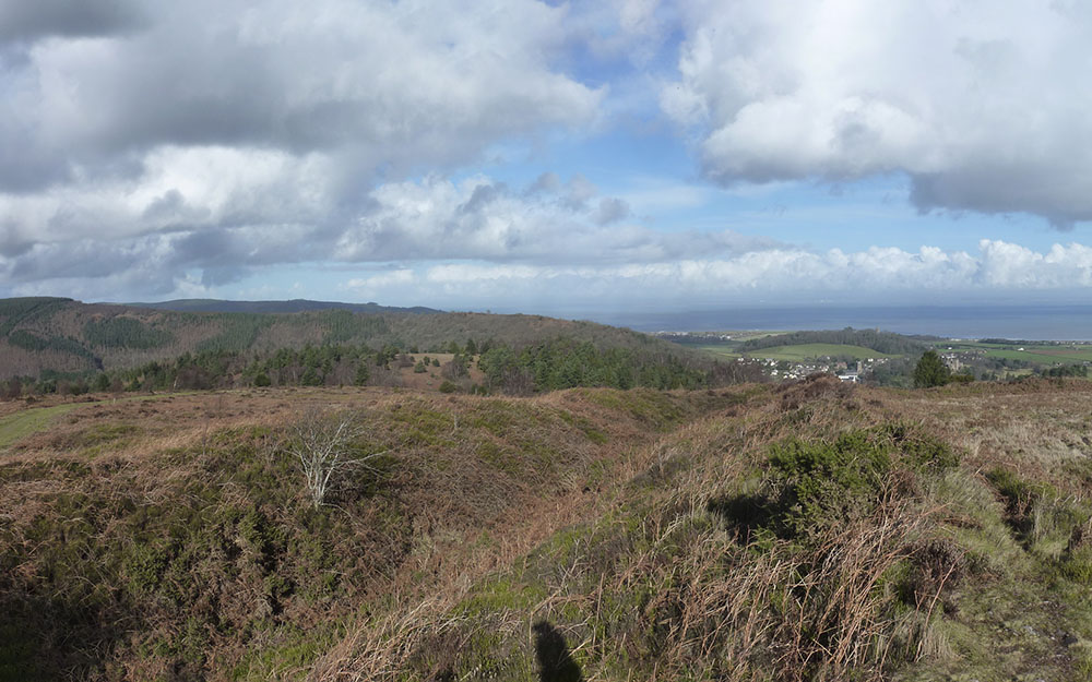 Landscape assessment of Dunster Deer Park, Somerset