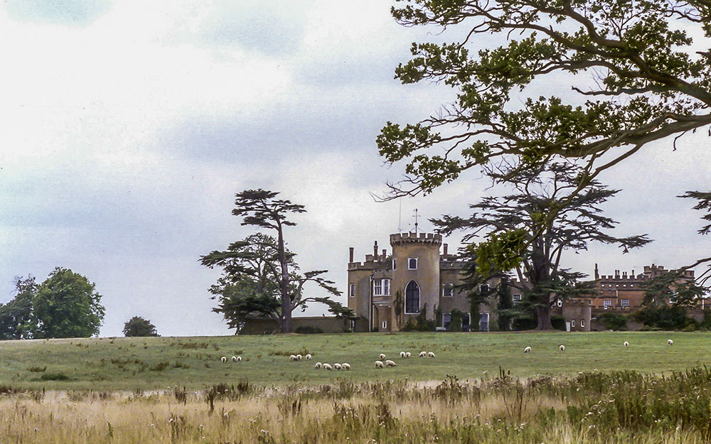 Conservation: Landscape survey & restoration plan with deer park,  Knepp West Sussex