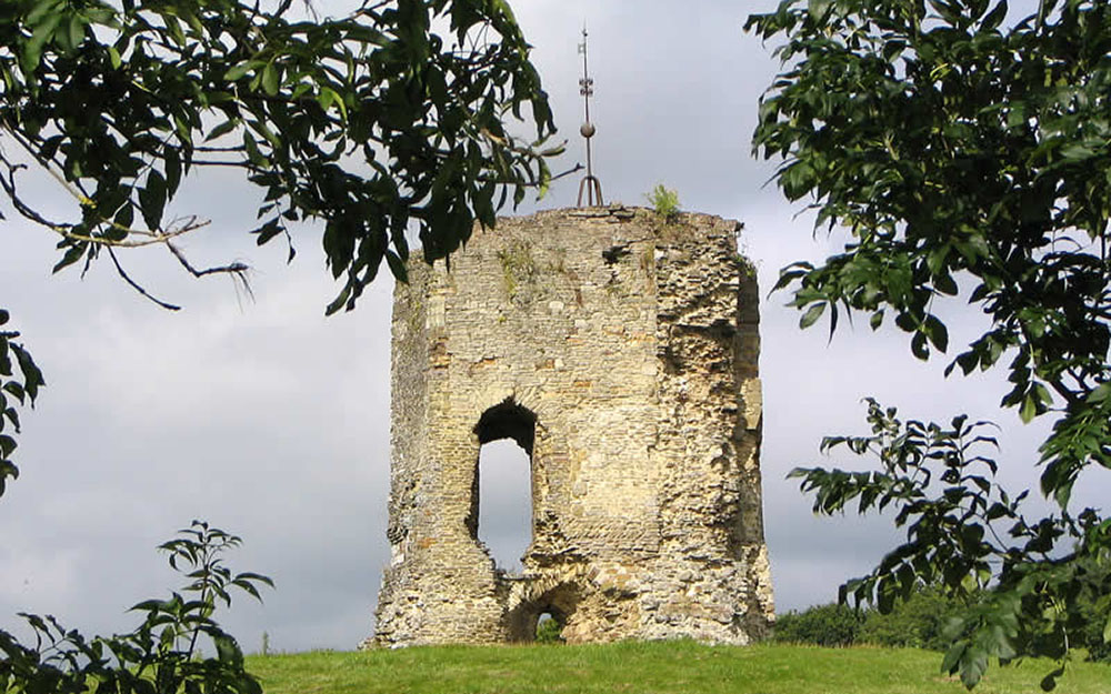 Landscape survey & restoration plan with deer park,  Knepp West Sussex