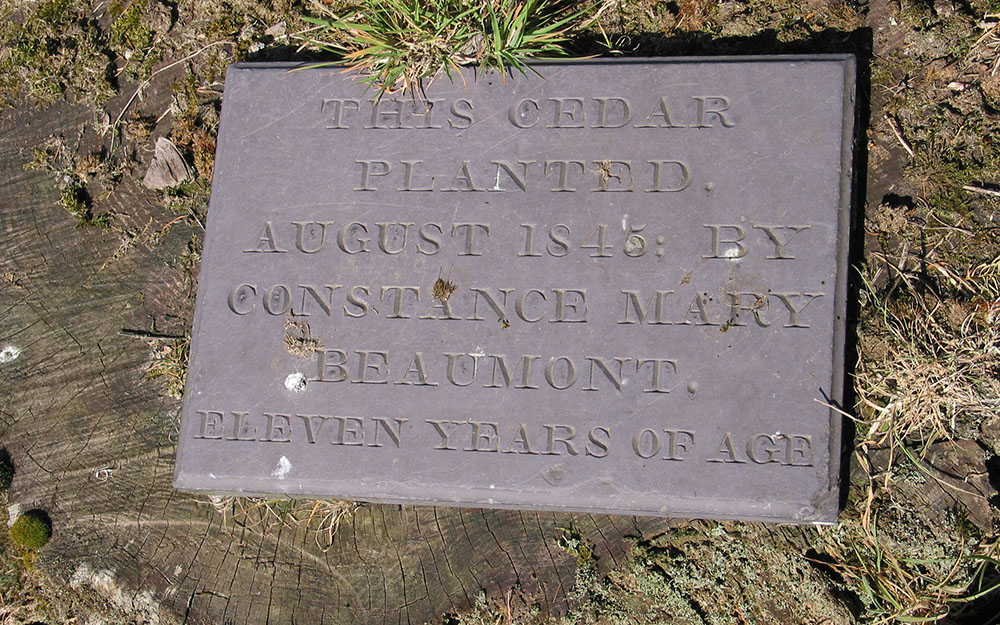 Historic Landscape Survey and Expert Landscape Witness at Coleorton Hall Leicestershire Planning Inquiry