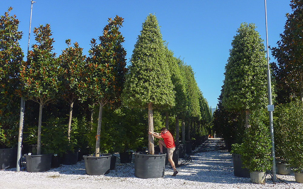 Landscape design - Sourcing & Samples